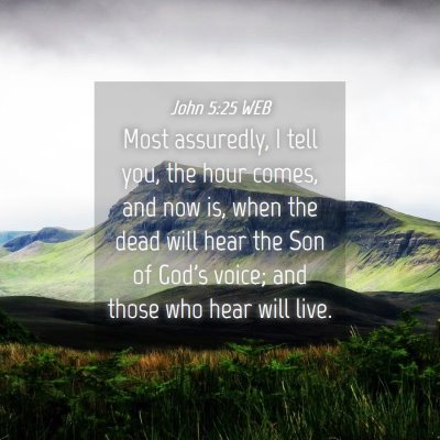 Picture 04 - John 5:25 WEB - Most assuredly, I tell you, the hour comes, and - Bible Verse Picture