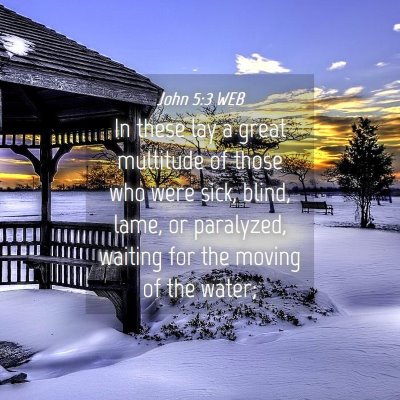 Picture 04 - John 5:3 WEB - In these lay a great multitude of those who were - Bible Verse Picture