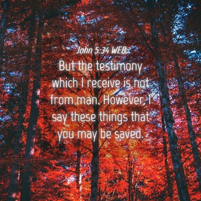 Picture 04 - John 5:34 WEB - But the testimony which I receive is not from - Bible Verse Picture