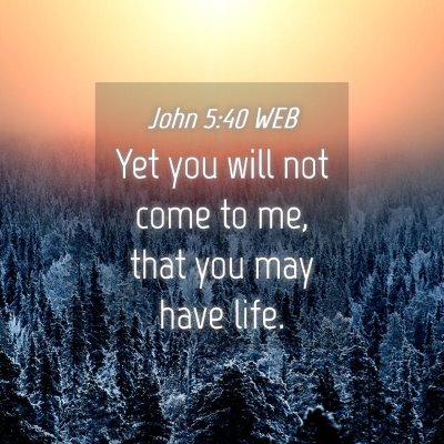 Picture 04 - John 5:40 WEB - Yet you will not come to me, that you may have - Bible Verse Picture