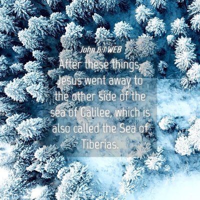 Picture 04 - John 6:1 WEB - After these things, Jesus went away to the other - Bible Verse Picture