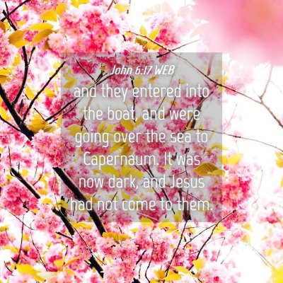 Picture 04 - John 6:17 WEB - and they entered into the boat, and were going - Bible Verse Picture