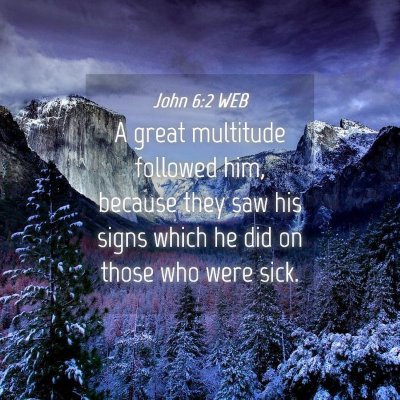 Picture 04 - John 6:2 WEB - A great multitude followed him, because they saw - Bible Verse Picture