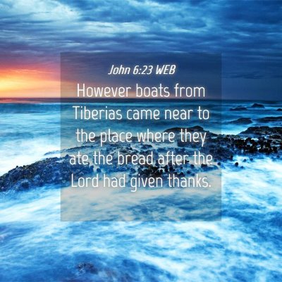 Picture 04 - John 6:23 WEB - However boats from Tiberias came near to the - Bible Verse Picture