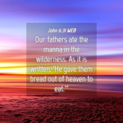 Picture 04 - John 6:31 WEB - Our fathers ate the manna in the wilderness. As - Bible Verse Picture