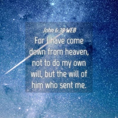 Picture 04 - John 6:38 WEB - For I have come down from heaven, not to do my - Bible Verse Picture