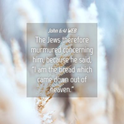 Picture 04 - John 6:41 WEB - The Jews therefore murmured concerning him, - Bible Verse Picture
