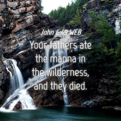 Picture 04 - John 6:49 WEB - Your fathers ate the manna in the wilderness, and - Bible Verse Picture