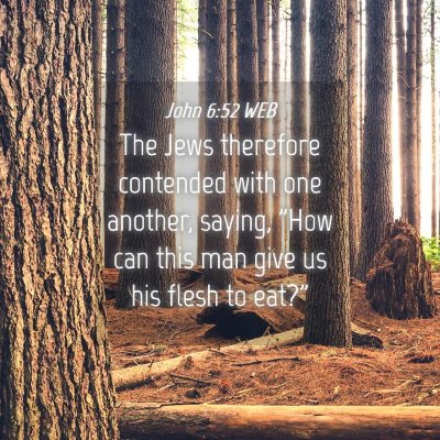 Picture 04 - John 6:52 WEB - The Jews therefore contended with one another, - Bible Verse Picture
