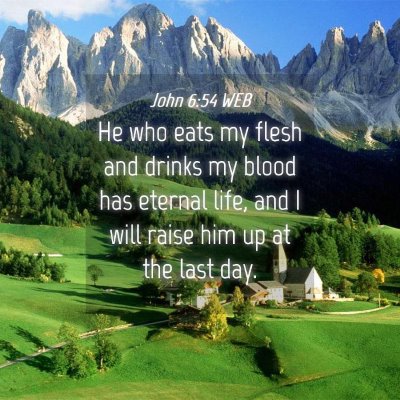 Picture 04 - John 6:54 WEB - He who eats my flesh and drinks my blood has - Bible Verse Picture