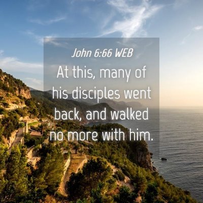 Picture 04 - John 6:66 WEB - At this, many of his disciples went back, and - Bible Verse Picture