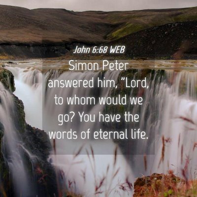 Picture 04 - John 6:68 WEB - Simon Peter answered him, 