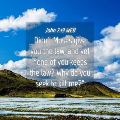 Picture 04 - John 7:19 WEB - Didn't Moses give you the law, and yet none of - Bible Verse Picture