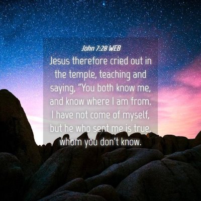 Picture 04 - John 7:28 WEB - Jesus therefore cried out in the temple, teaching - Bible Verse Picture