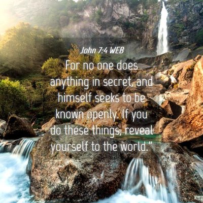 Picture 04 - John 7:4 WEB - For no one does anything in secret, and himself - Bible Verse Picture