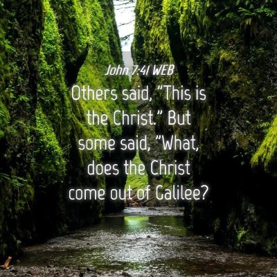 Picture 04 - John 7:41 WEB - Others said, 