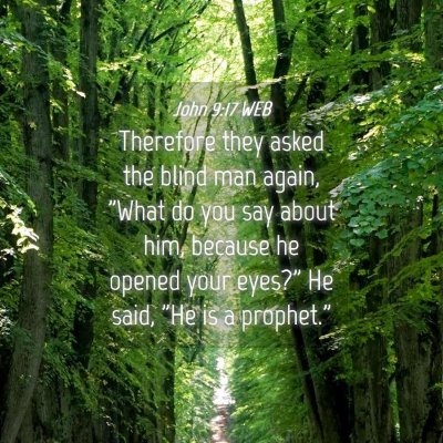 Picture 04 - John 9:17 WEB - Therefore they asked the blind man again, 