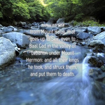 Picture 04 - Joshua 11:17 WEB - from Mount Halak, that goes up to Seir, even to - Bible Verse Picture
