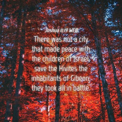 Picture 04 - Joshua 11:19 WEB - There was not a city that made peace with the - Bible Verse Picture