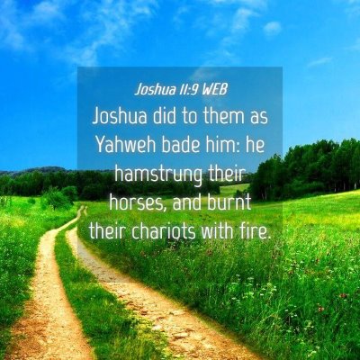 Picture 04 - Joshua 11:9 WEB - Joshua did to them as Yahweh bade him: he - Bible Verse Picture