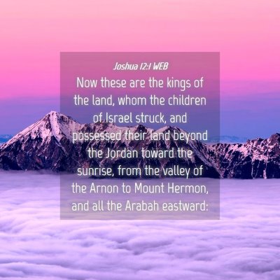 Picture 04 - Joshua 12:1 WEB - Now these are the kings of the land, whom the - Bible Verse Picture
