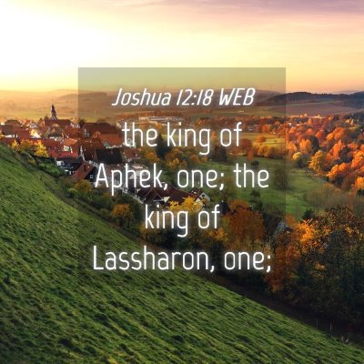 Picture 04 - Joshua 12:18 WEB - the king of Aphek, one; the king of Lassharon, - Bible Verse Picture