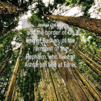 Picture 04 - Joshua 12:4 WEB - and the border of Og king of Bashan, of the - Bible Verse Picture