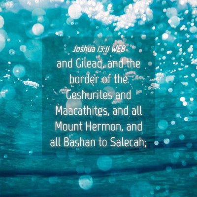 Picture 04 - Joshua 13:11 WEB - and Gilead, and the border of the Geshurites and - Bible Verse Picture