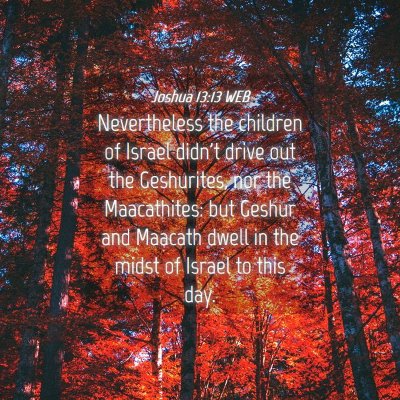 Picture 04 - Joshua 13:13 WEB - Nevertheless the children of Israel didn't drive - Bible Verse Picture
