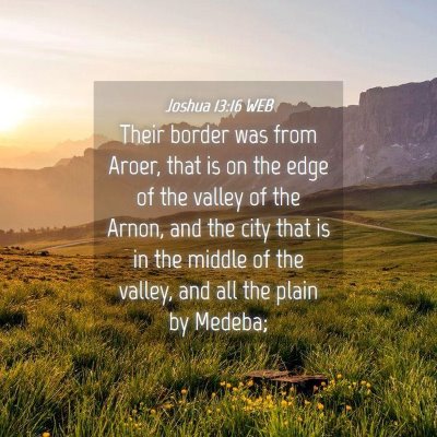 Picture 04 - Joshua 13:16 WEB - Their border was from Aroer, that is on the edge - Bible Verse Picture