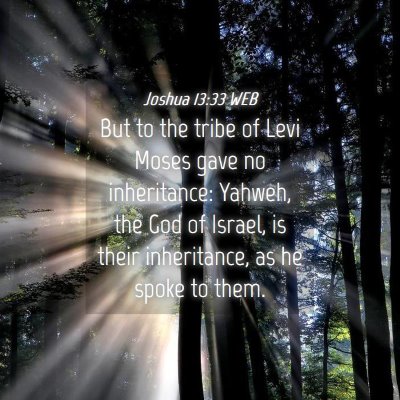 Picture 04 - Joshua 13:33 WEB - But to the tribe of Levi Moses gave no - Bible Verse Picture