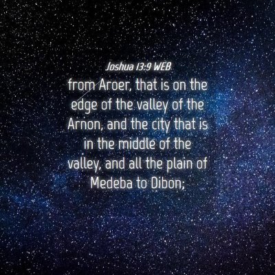 Picture 04 - Joshua 13:9 WEB - from Aroer, that is on the edge of the valley of - Bible Verse Picture