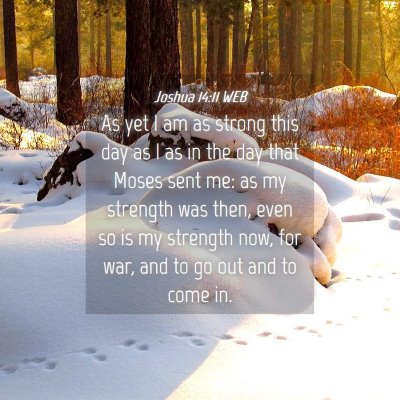 Picture 04 - Joshua 14:11 WEB - As yet I am as strong this day as I as in the day - Bible Verse Picture