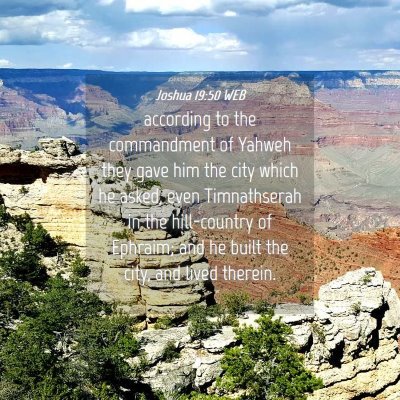 Picture 04 - Joshua 19:50 WEB - according to the commandment of Yahweh they gave - Bible Verse Picture