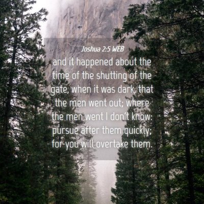 Picture 04 - Joshua 2:5 WEB - and it happened about the time of the shutting of - Bible Verse Picture