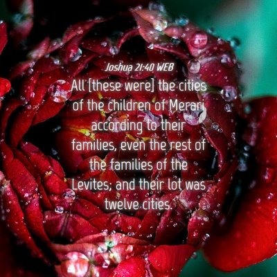 Picture 04 - Joshua 21:40 WEB - All [these were] the cities of the children of - Bible Verse Picture