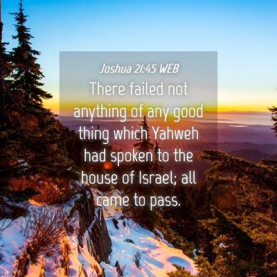 Picture 04 - Joshua 21:45 WEB - There failed not anything of any good thing which - Bible Verse Picture