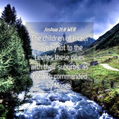Picture 04 - Joshua 21:8 WEB - The children of Israel gave by lot to the Levites - Bible Verse Picture