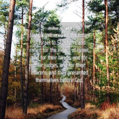 Picture 04 - Joshua 24:1 WEB - Joshua gathered all the tribes of Israel to - Bible Verse Picture
