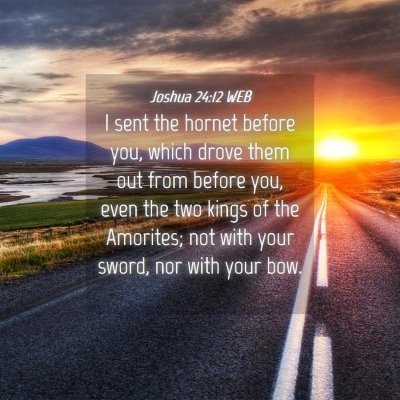 Picture 04 - Joshua 24:12 WEB - I sent the hornet before you, which drove them - Bible Verse Picture
