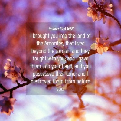 Picture 04 - Joshua 24:8 WEB - I brought you into the land of the Amorites, that - Bible Verse Picture
