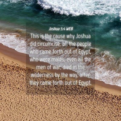 Picture 04 - Joshua 5:4 WEB - This is the cause why Joshua did circumcise: all - Bible Verse Picture
