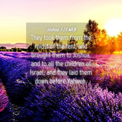 Picture 04 - Joshua 7:23 WEB - They took them from the midst of the tent, and - Bible Verse Picture