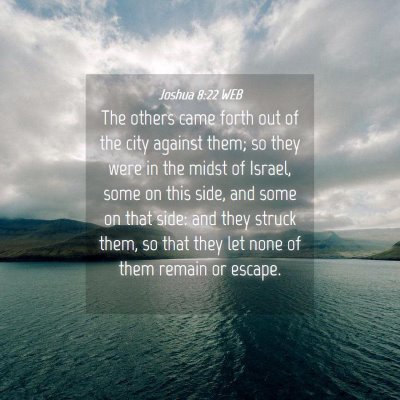 Picture 04 - Joshua 8:22 WEB - The others came forth out of the city against - Bible Verse Picture