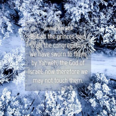 Picture 04 - Joshua 9:19 WEB - But all the princes said to all the congregation, - Bible Verse Picture