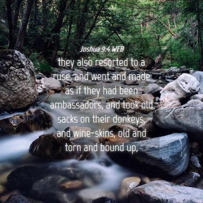 Picture 04 - Joshua 9:4 WEB - they also resorted to a ruse, and went and made - Bible Verse Picture