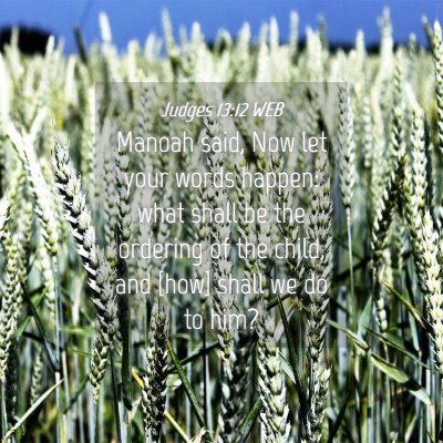 Picture 04 - Judges 13:12 WEB - Manoah said, Now let your words happen: what - Bible Verse Picture
