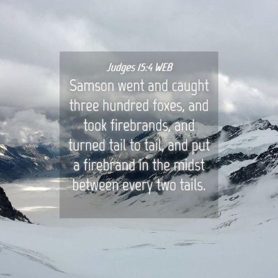 Picture 04 - Judges 15:4 WEB - Samson went and caught three hundred foxes, and - Bible Verse Picture