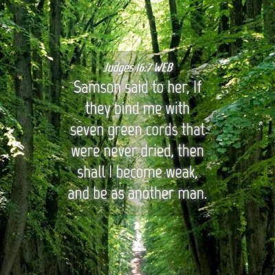 Picture 04 - Judges 16:7 WEB - Samson said to her, If they bind me with seven - Bible Verse Picture