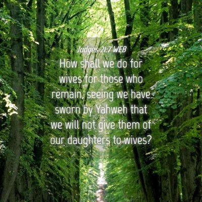 Picture 04 - Judges 21:7 WEB - How shall we do for wives for those who remain, - Bible Verse Picture